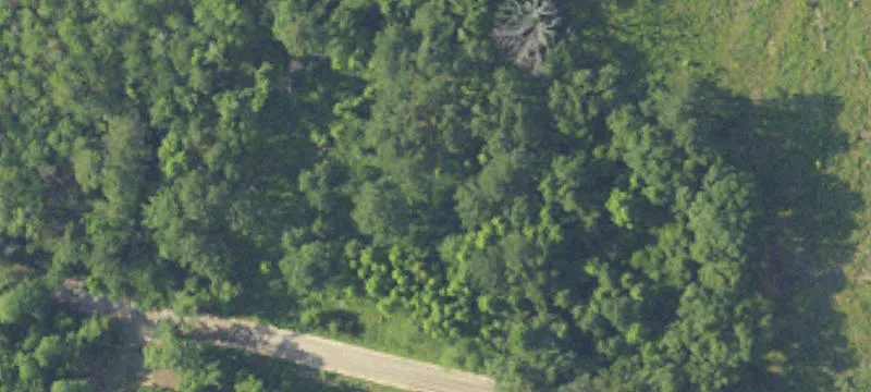1.1377 Acre Lot For Lease