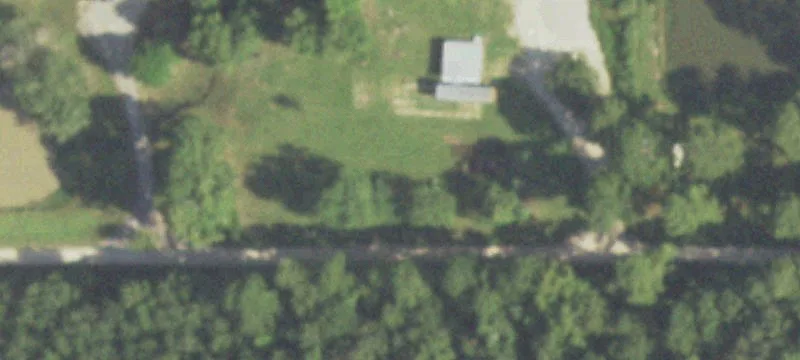 Heavily Wooded Land For Sale