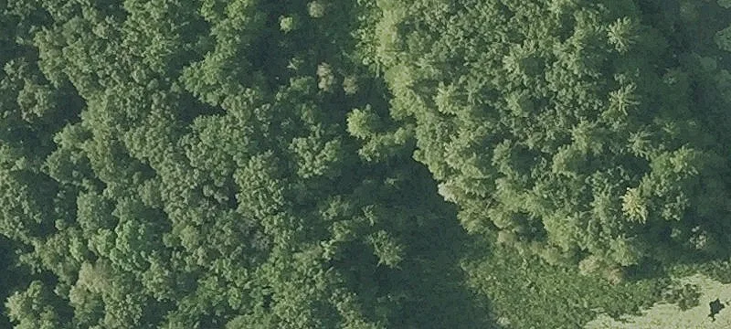 Londonderry Land Near Airport