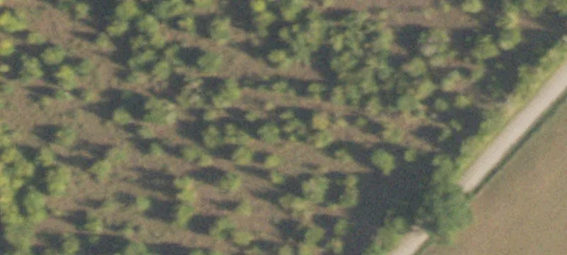 Land on Aggie Expressway Frontage