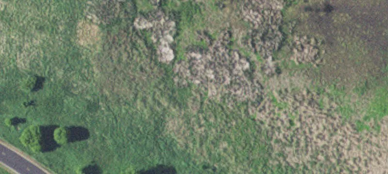 Residential Development Land in Annandale
