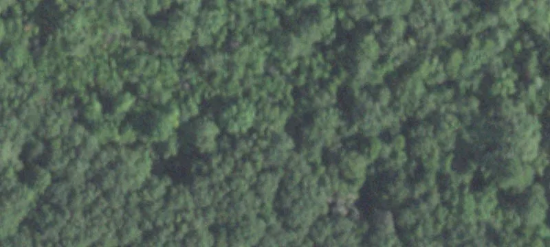 Heavily Wooded Land on SH 105