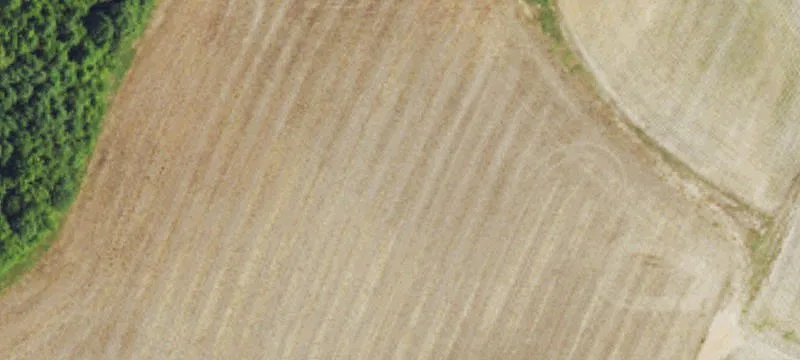 Prime Land Near Haw River