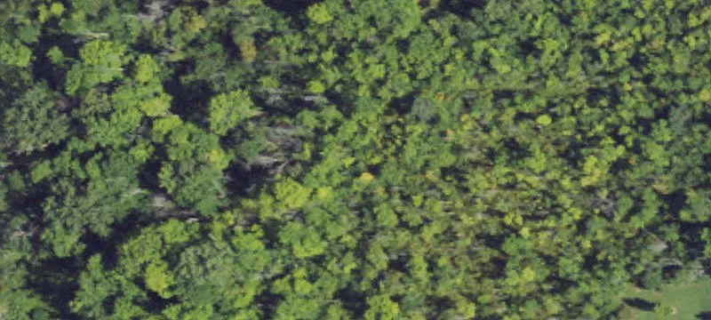 Freeland Development Land For Sale