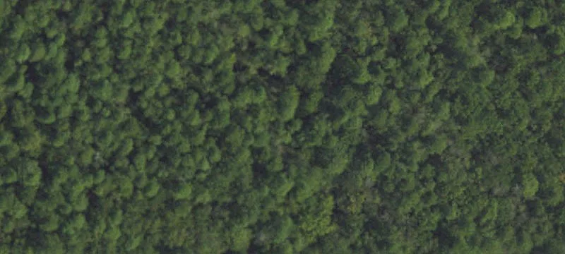 124 Acres Near I-40 Interchange