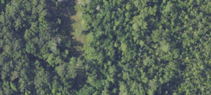 Satsuma Land Parcel For Sale