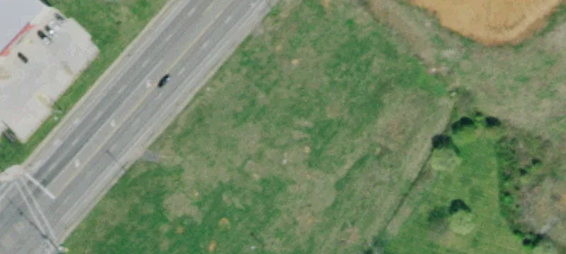 Cleared Land Ready for Development