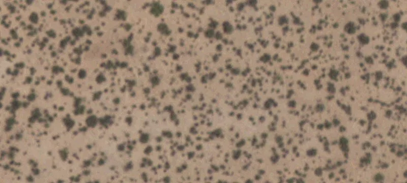 Industrial Land in Santa Teresa