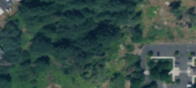 Prime Lacey Land for Development