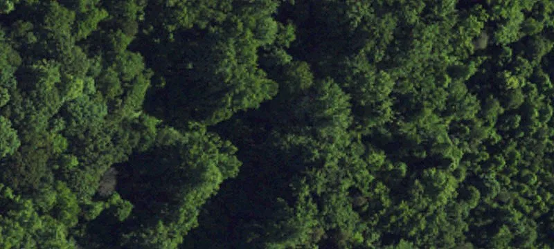 Land with Timber and Creek
