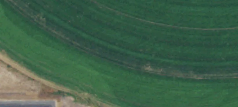 Land for Rent