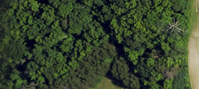 Stokesdale Commercial Land For Sale
