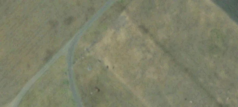 52 Acres Raw Land Needville
