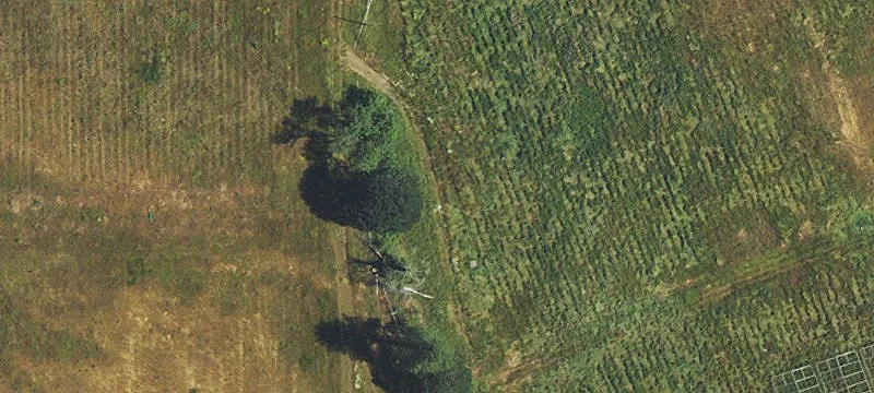 Agricultural Land with Water Rights