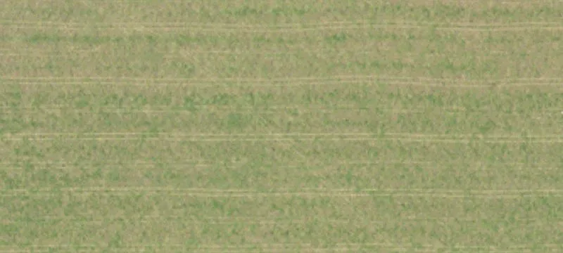 300 Acres Development Opportunity, Elberta