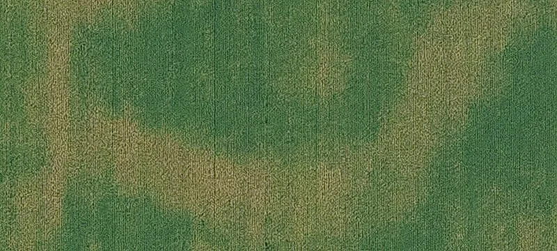 Land Available with Highway Access