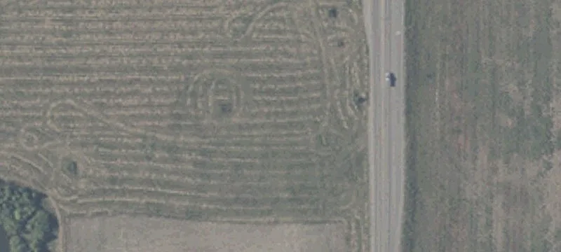 Anderson Land Opportunity