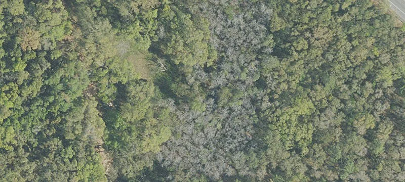 Commercially Zoned Land Parcel