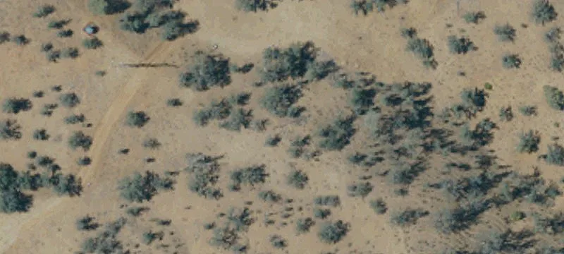49.81 Acres Vacant Land