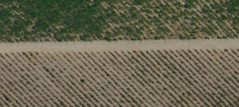77.7 Acres Buchannan Ranch