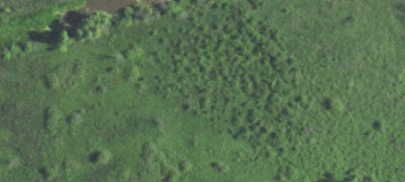4.76 Acre Commercial Land