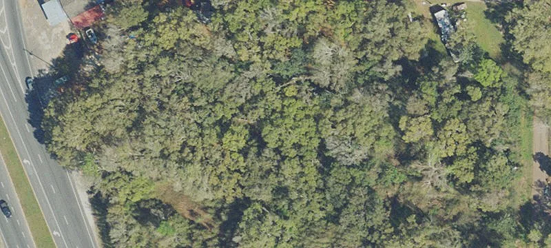 Flat, Wooded Lot on Highway
