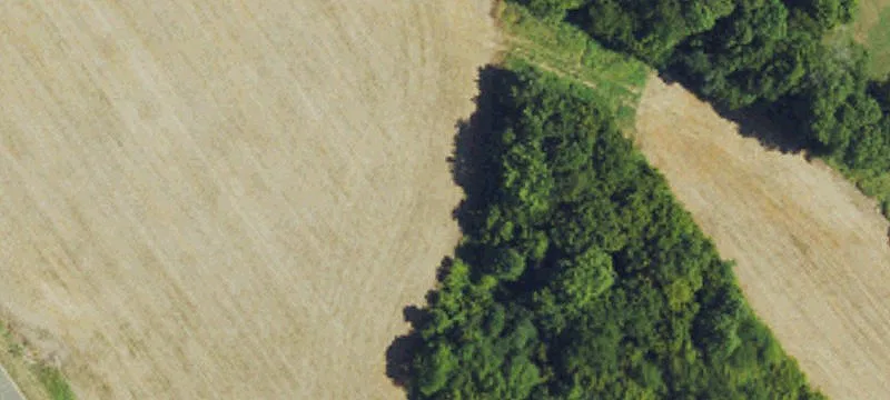 Land For Sale Graham, NC