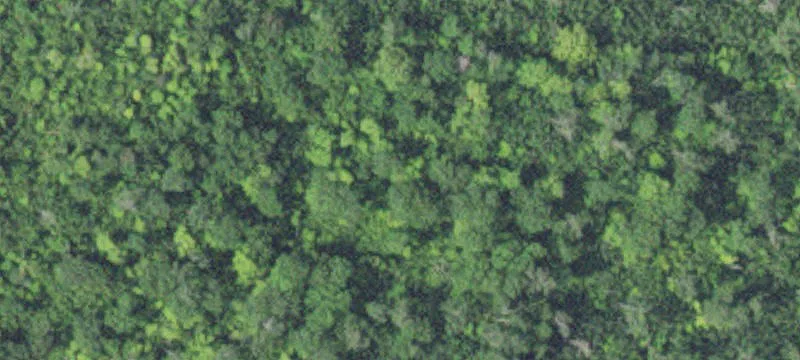 Lake Superior Land Opportunity