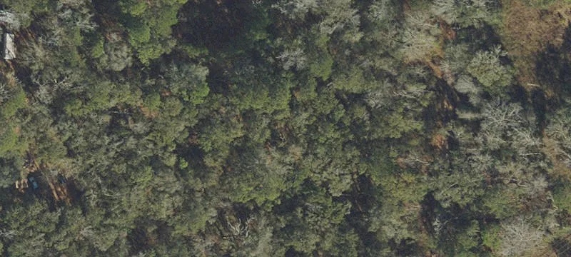 8.4 Acres Commercial Land Available