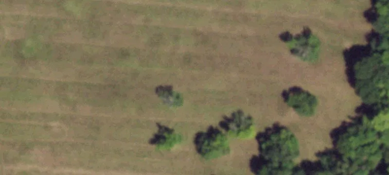 Cleared Land Ready for Construction