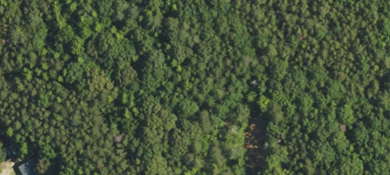 Acreage Near Monroe Expressway
