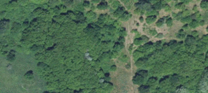 46 Acres in Rogers Area