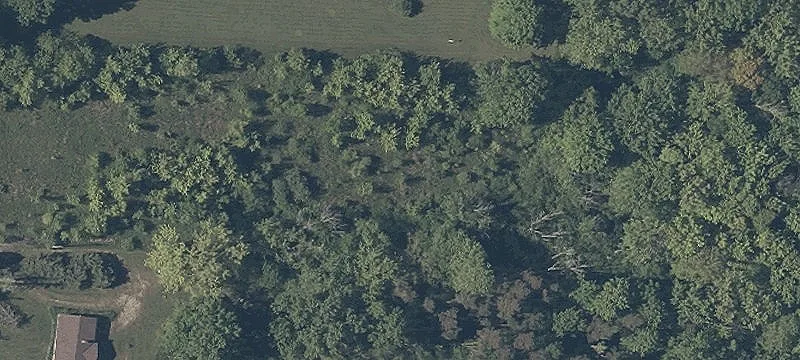 Flat Land Ready for Development