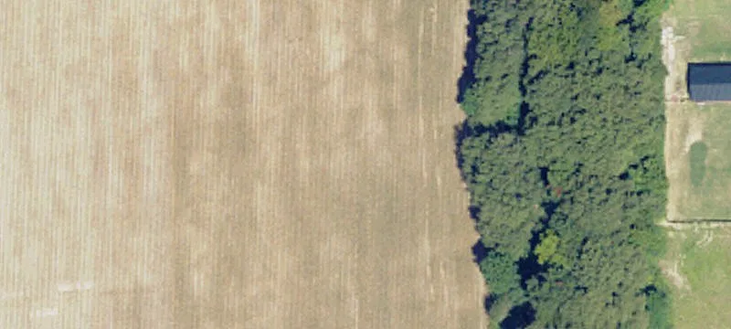 One Acre Lot in Merigold