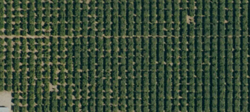 Thermal Date Ranch Opportunity
