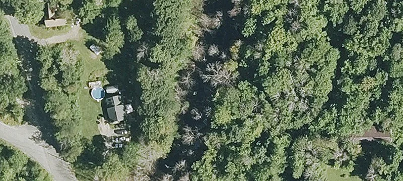 Wooded Land Parcel For Sale