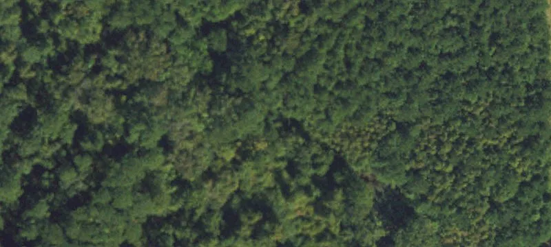 116+ Acres on Piney Green