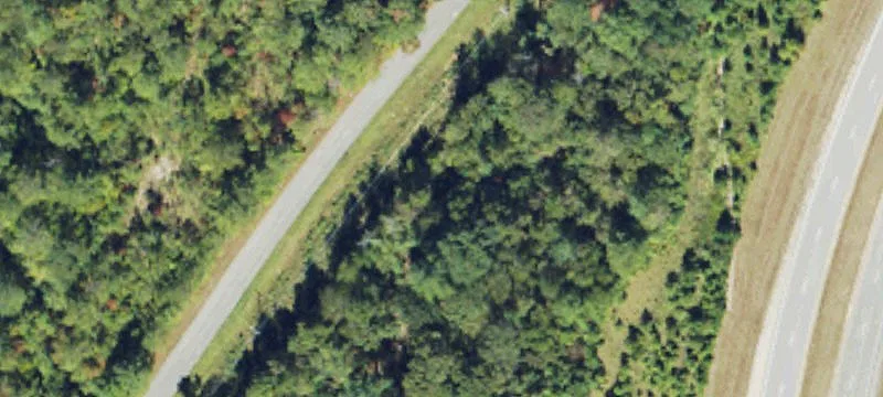 Lauderdale County Land For Sale