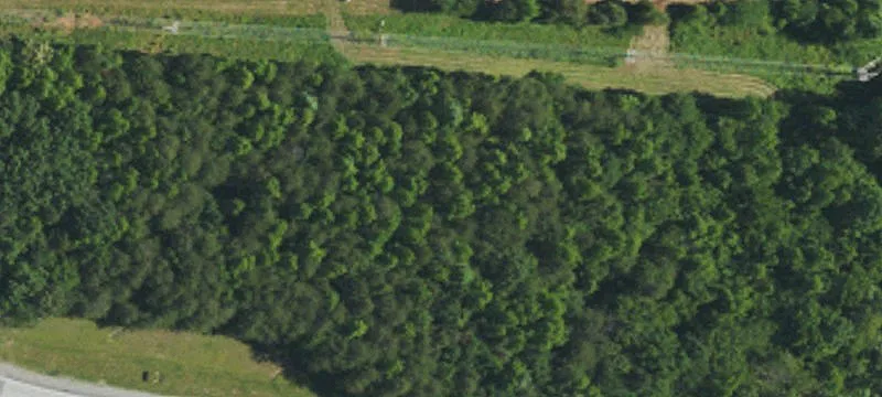 Land Near I-85 Exit
