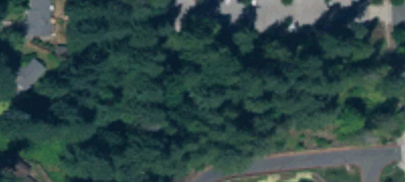 Lacey Commercial Land for Development