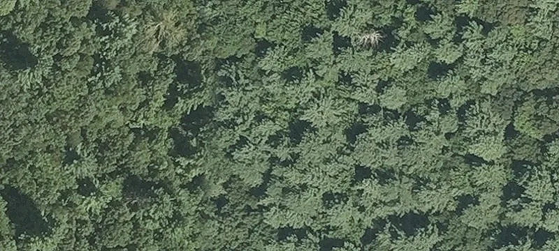 10.5 Acre Commercial Land Site