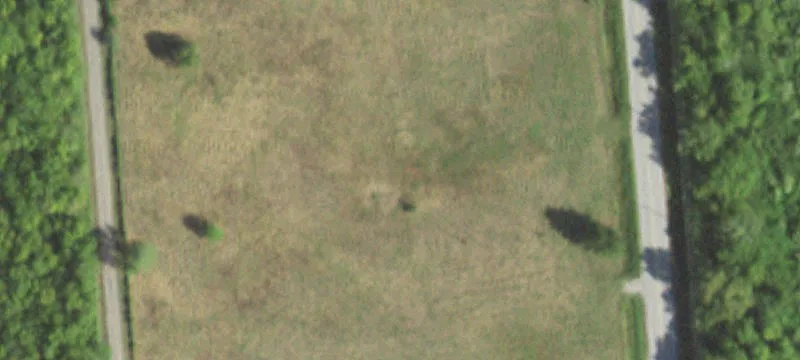 Land with Frontage on FM-1462
