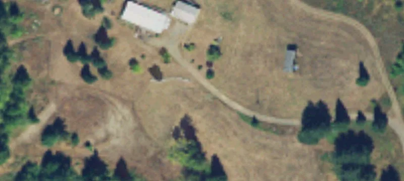 Port Angeles Timber and Homestead Holding