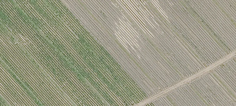 Flexible Industrial Land Opportunity