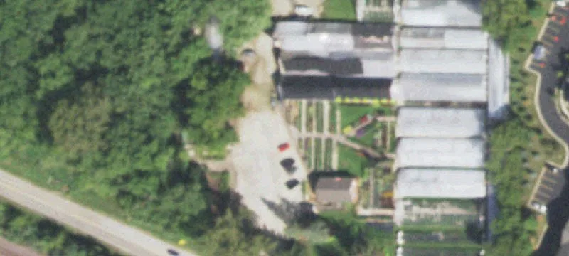 Winfield Nursery and Garden Center