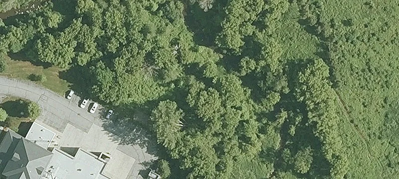 Retail Space in Maple Tree