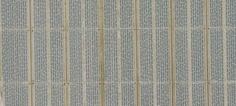 Large Parcel in Fort Myers