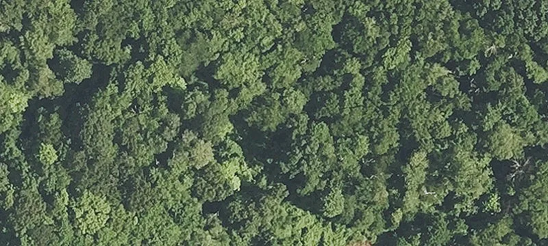 Land with Highway Visibility