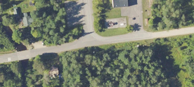 Managed Forestland Near National Forest