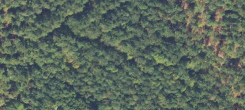 Highway 515 Land Parcel